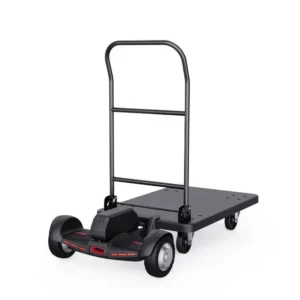 Scooter plataforma motorizada ET300P2